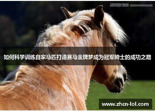 如何科学训练自家马匹打造赛马金牌梦成为冠军骑士的成功之路