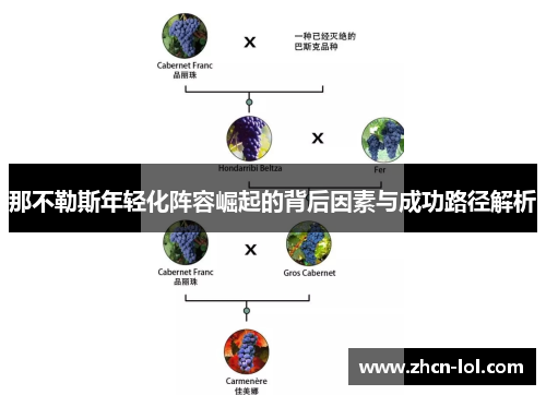 那不勒斯年轻化阵容崛起的背后因素与成功路径解析
